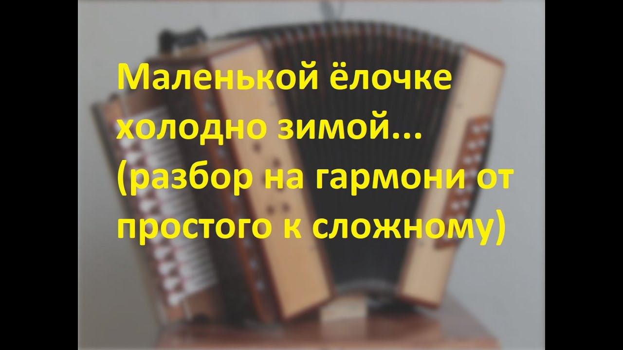 Маленькой ёлочке холодно зимой(разбор на гармони) смотреть онлайн