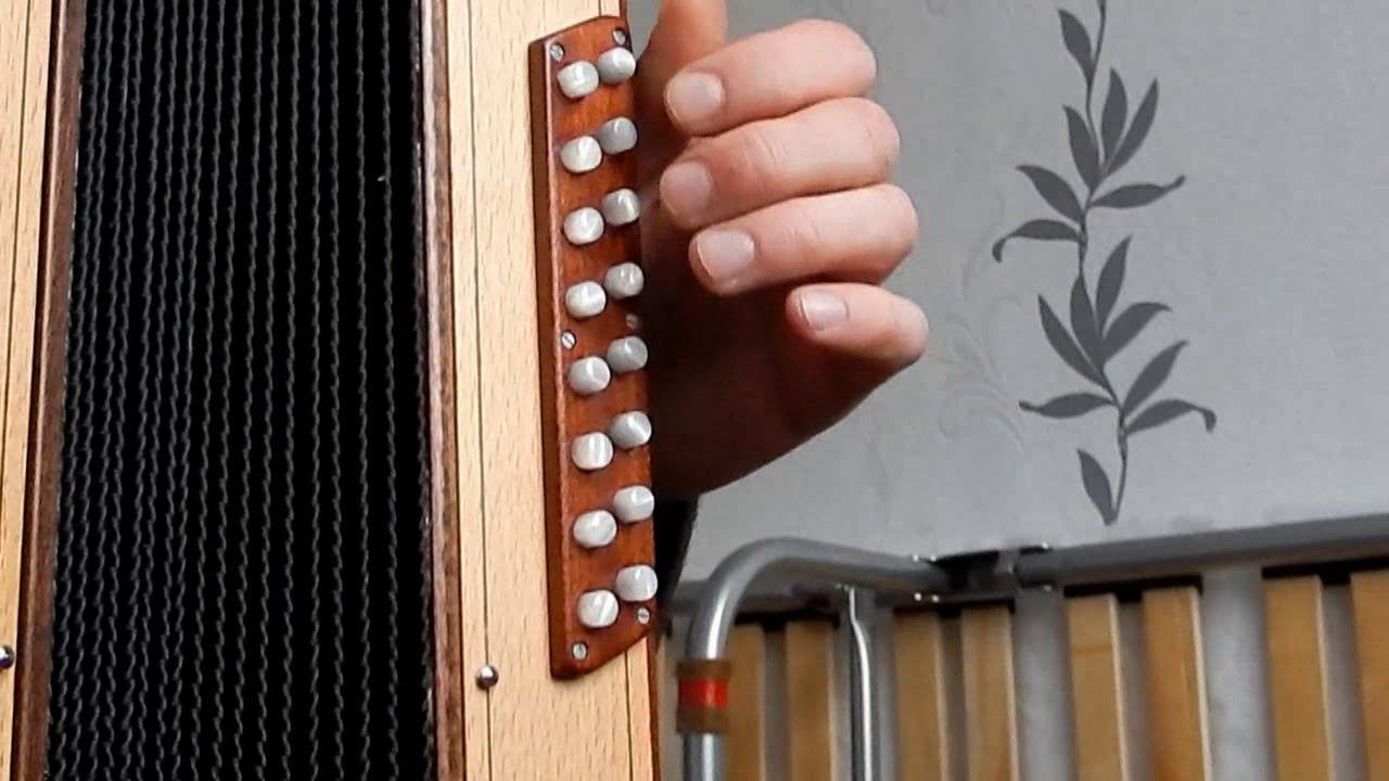 Лизавета(как играть на гармони) смотреть онлайн