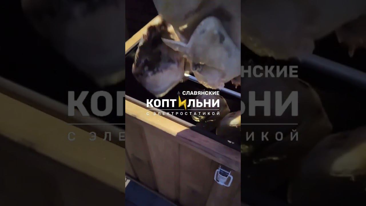 Тестируем #IT в копчении. Сенсорное управление. Электростатическая коптильня. Производство РФ смотреть онлайн