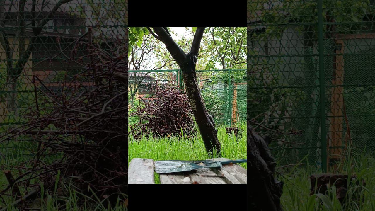 ДОЖДЬ В НАЧАЛЕ МАЯ / ЗВУКИ ДОЖДЯ / ДОЖДЬ #дождь #звукидождя #успокаивающеевидео #релакс смотреть онлайн