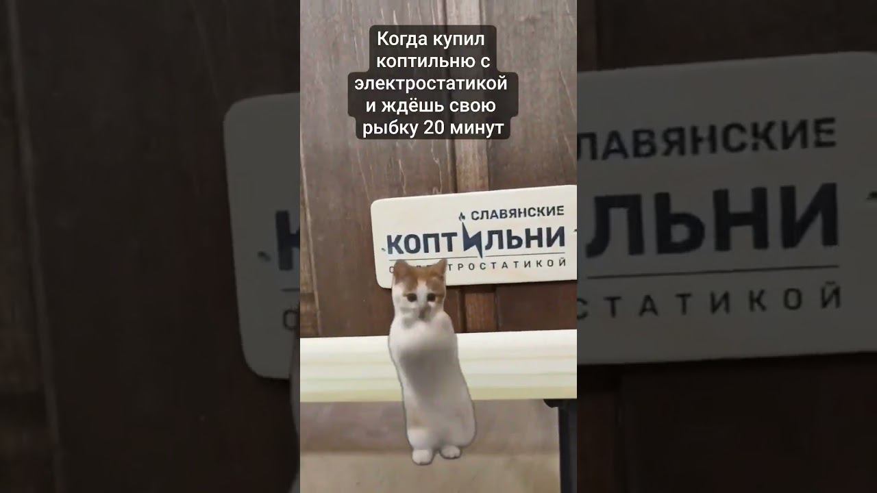 а вы балуете своих котиков копчёностями? смотреть онлайн