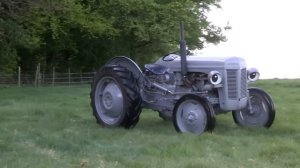 Come and See Fergie on his UK Tour this Summer! | Gratass | Little Grey Fergie