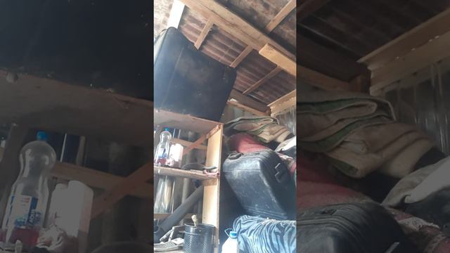 Cripi смотреть онлайн