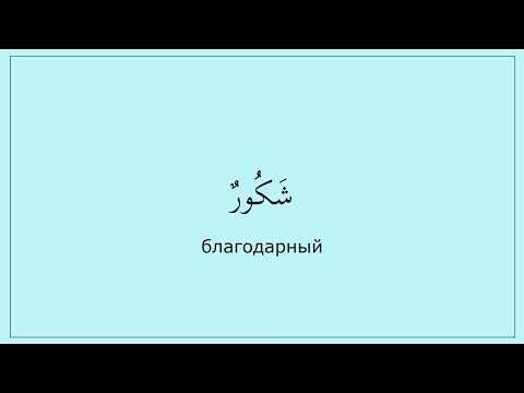 0.02 Харфы ر ك ش. Читаем слово (شكور).