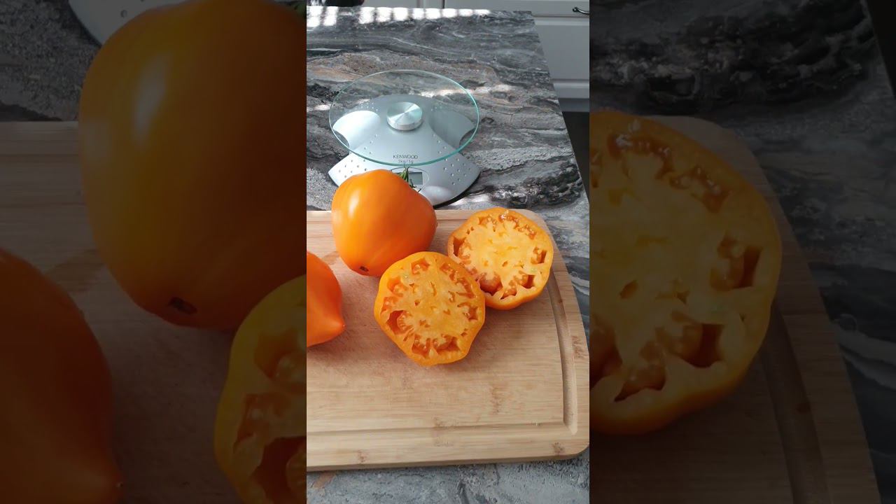 Лискин нос. Красивый и вкусный. смотреть онлайн