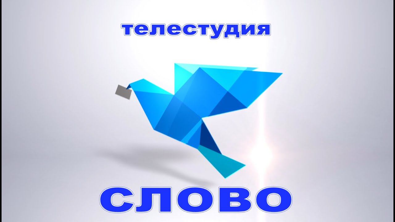 10 января 2020 программа Ракурс смотреть онлайн