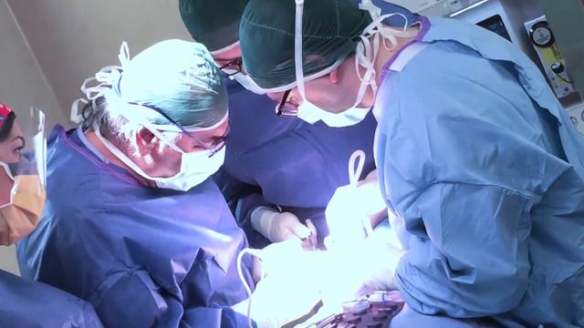 Intervento Impianti Zigomatici смотреть онлайн