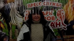 Татьяна Алексагина подтвердила рабство в Парке львов Тайган!