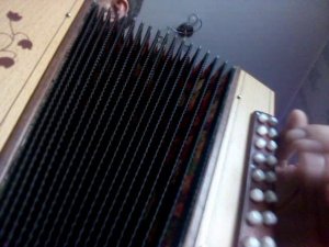 Виновата ли я...(как играть на гармони)