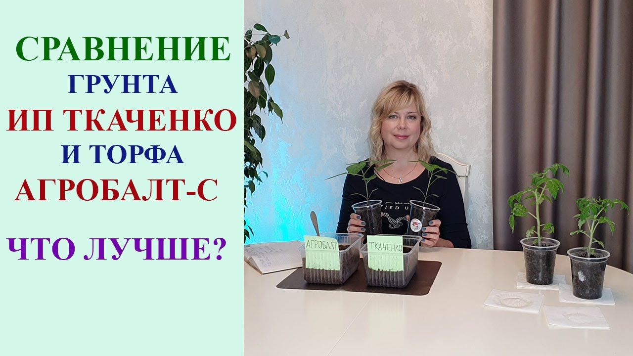 СРАВНЕНИЕ ГРУНТА ИП ТКАЧЕНКО И ТОРФА АГРОБАЛТ-С. СТОИТ ЛИ ИХ ПОКУПАТЬ? смотреть онлайн