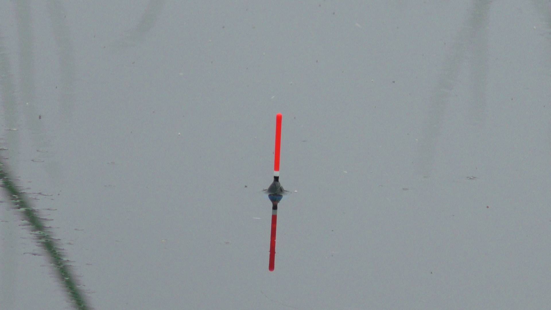 ПОЛОЖИЛА ПОПЛАВОК , ДУМАЛ ТРАВА. Рыбалка на поплавок смотреть онлайн