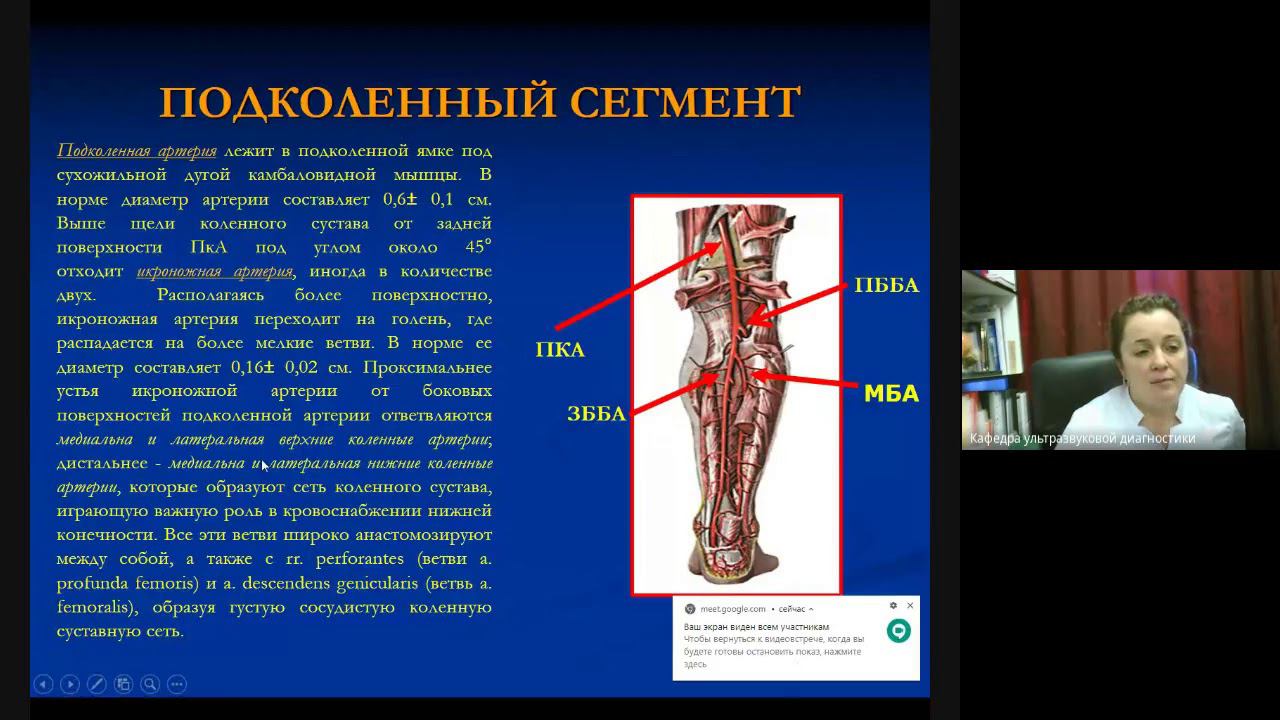 УЗД Патологии терминального отдела Аорты О.Л. Ерошенко