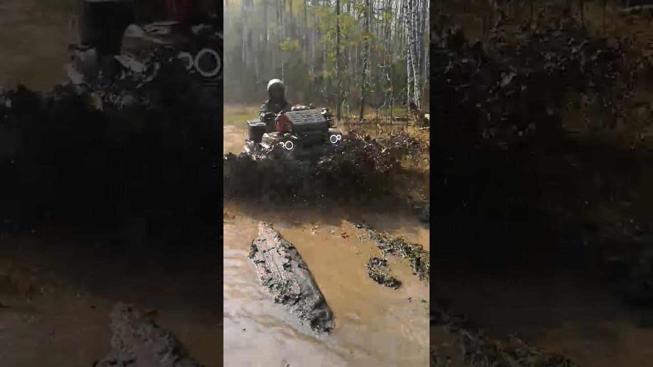 Покатушки на квадроциклах в лесу смотреть онлайн