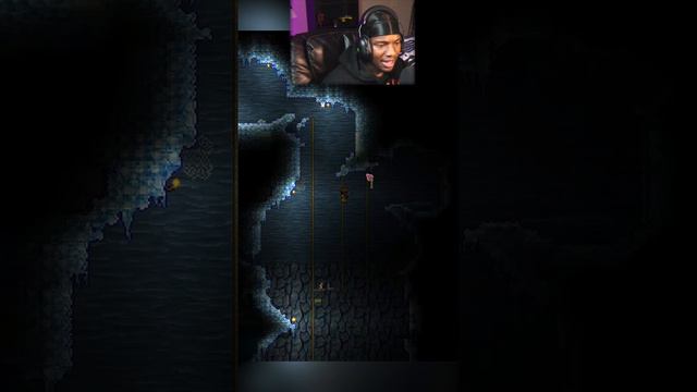 Def NOT a professional #gaming #terraria смотреть онлайн