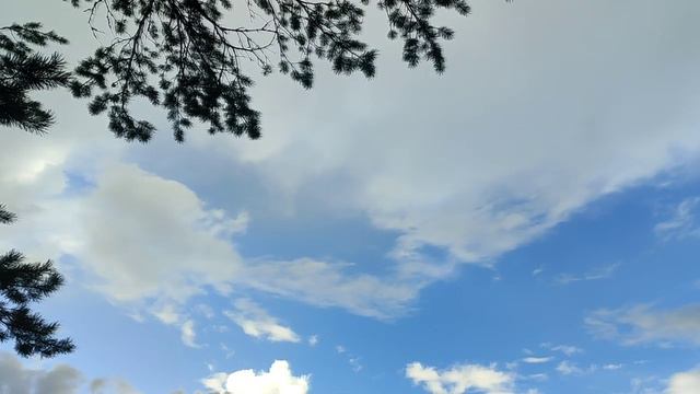 Дмитрий Шувалов - Зовет звезда