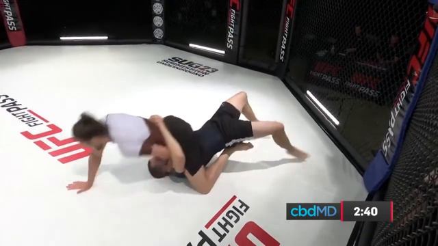 Matt Cox vs Aaron Tiegs смотреть онлайн