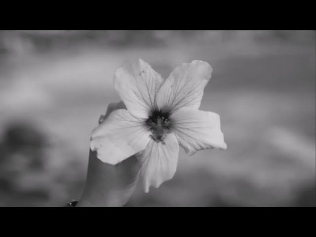 Katano Beat - Tell Bear (NG Remix) смотреть онлайн