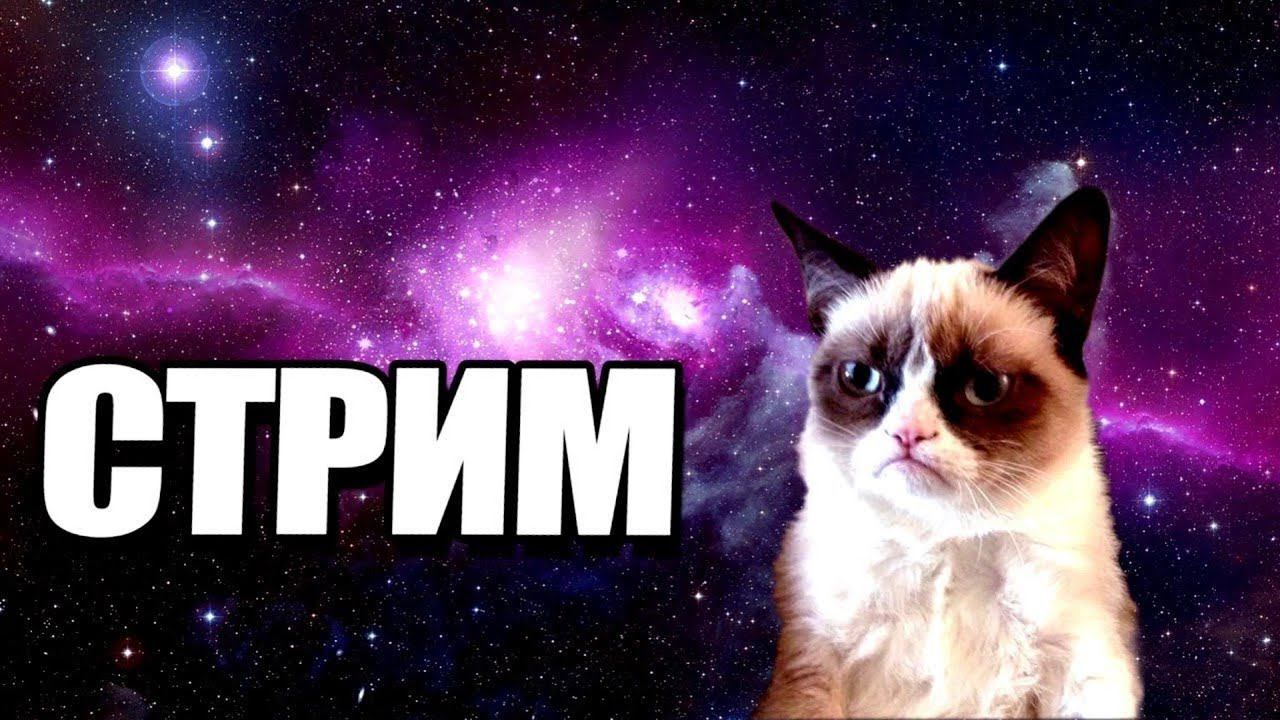 Стрим Оценка Каналов смотреть онлайн