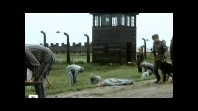 Maryjo, Matko moja (St.Maximilian Kolbe) - MOCNI w DUCHU (song translation) смотреть онлайн