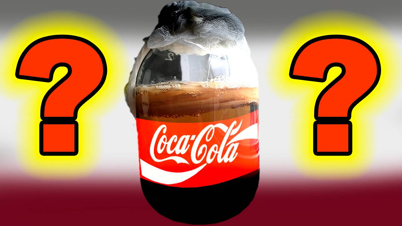 Чайный Гриб на кока колле смотреть онлайн