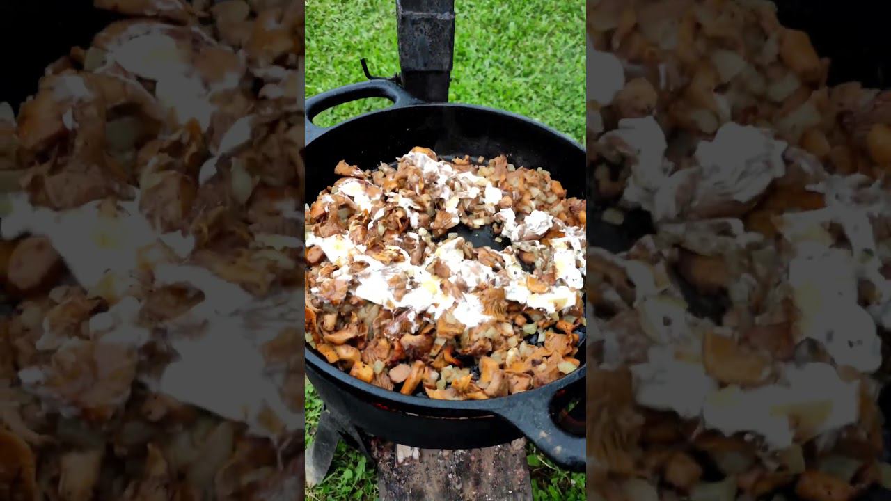 Лисички со сметаной. смотреть онлайн