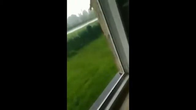 Ja pie*dole w renusia strzelil pierun смотреть онлайн