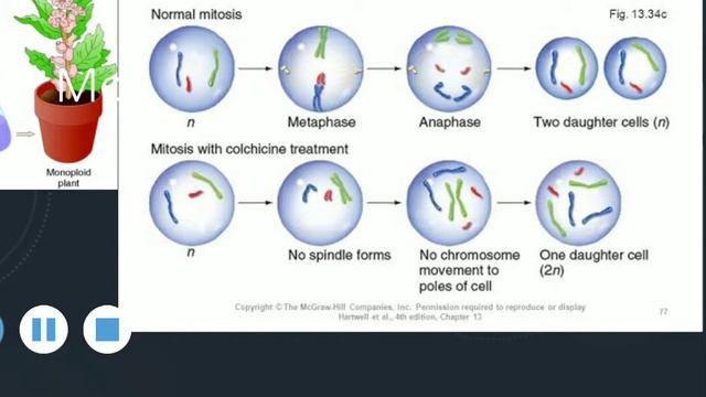 Mutation part 2- Numerical chromosomal aberrations- explanation in Malayalam смотреть онлайн