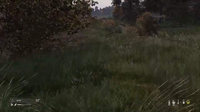 New Controller New Me In DayZ смотреть онлайн