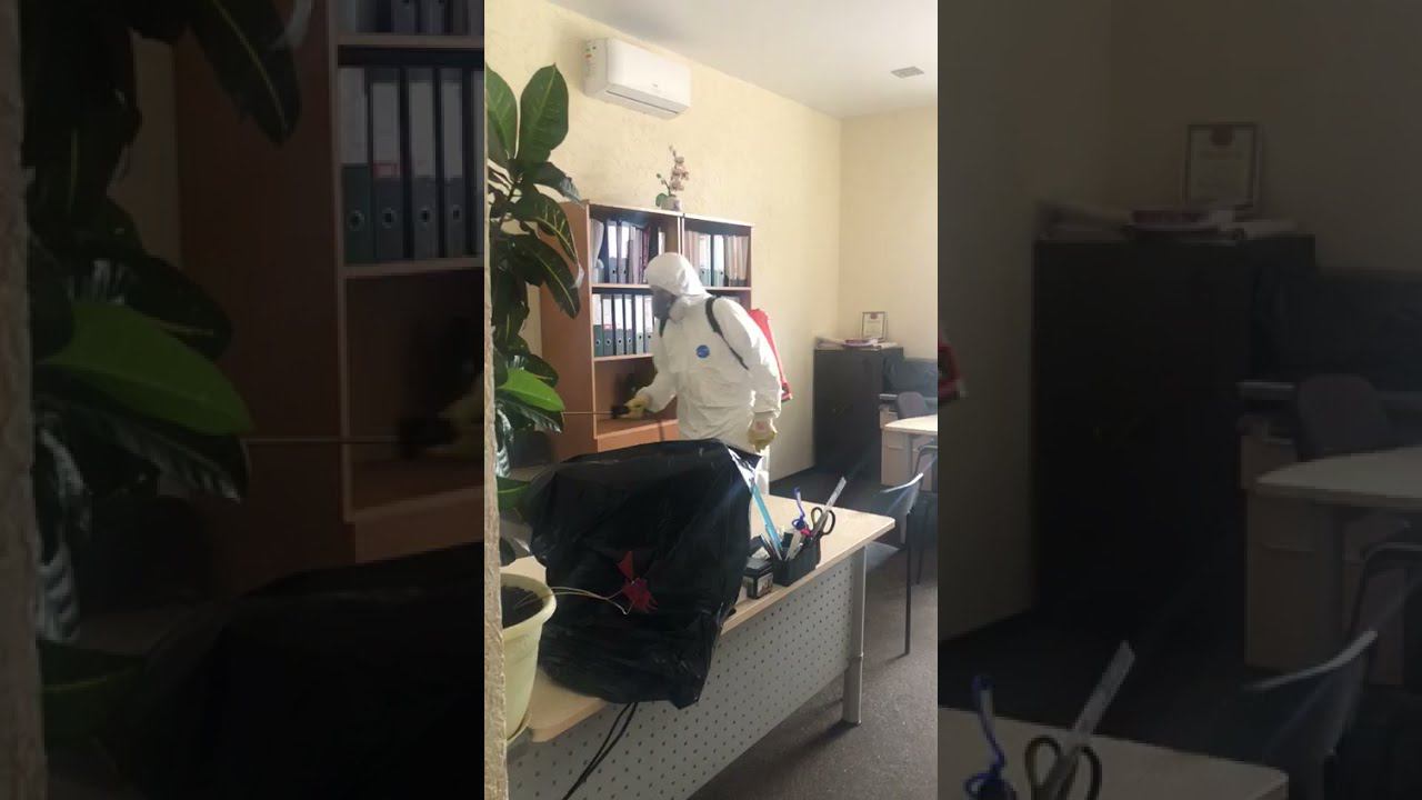 Дезинфекция офисного здания