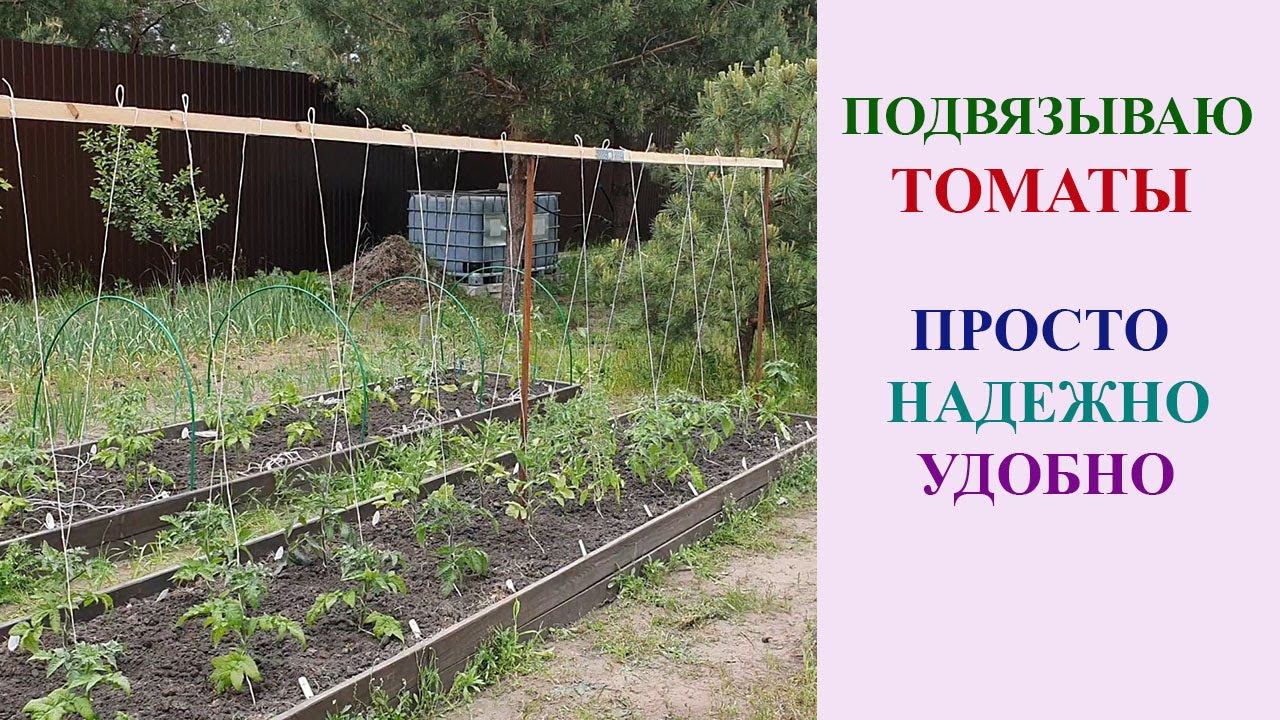 ПОДВЯЗЫВАЮ ТОМАТЫ. ПРОСТОЙ И УДОБНЫЙ СПОСОБ. НАДО ЛИ ПАСЫНКОВАТЬ ГНОМОВ? смотреть онлайн