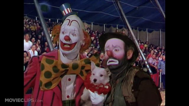 The Greatest Show on Earth (5/9) Movie CLIP - The Great Sebastian Falls (1952) HD смотреть онлайн