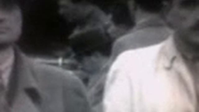 MAGYAR HÁBORÚS BÜNÖSÖK смотреть онлайн