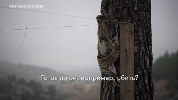 «Священная оккупация»