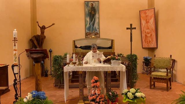 S.Messa Domenica 17 maggio 2020 celebrata dalla Cappella di San Riccardo Pampuri a Trivolzio смотреть онлайн
