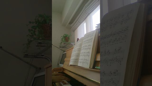 譜読み２週間・ショパンソナタ二番 смотреть онлайн