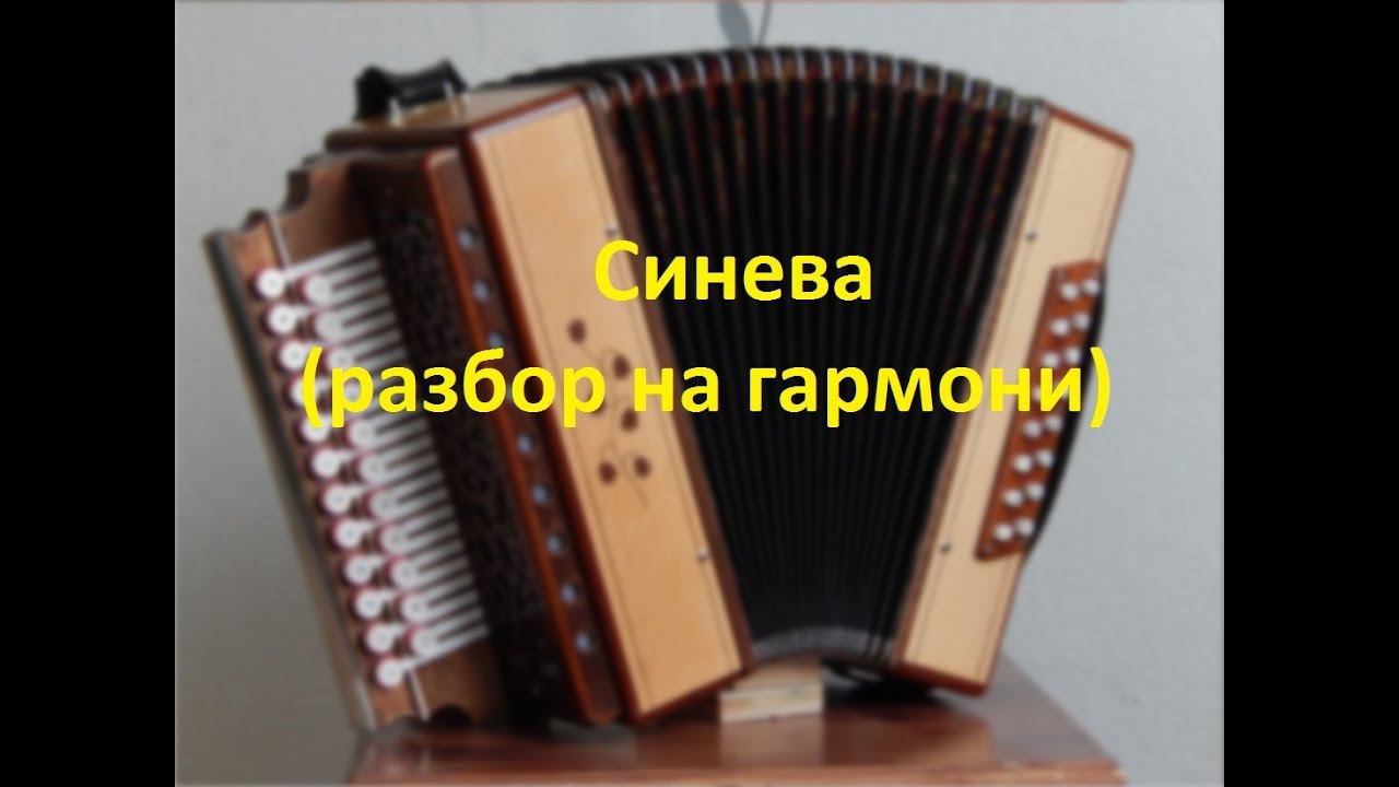 Синева(разбор на гармони с цифрами) смотреть онлайн