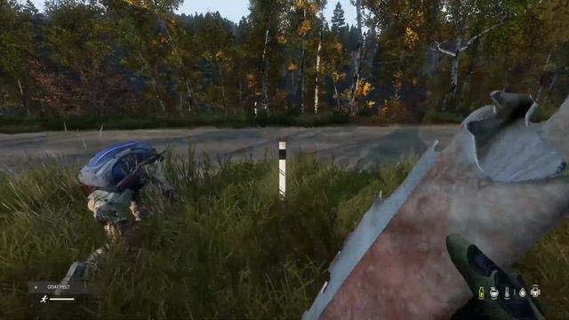 DayZ (PS4) #10: Best Server On PS4! смотреть онлайн
