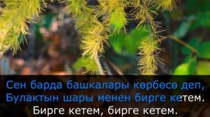 Кыргызча караоке минусовка КИМДЕРГЕ ЭКЕН - тексти менен