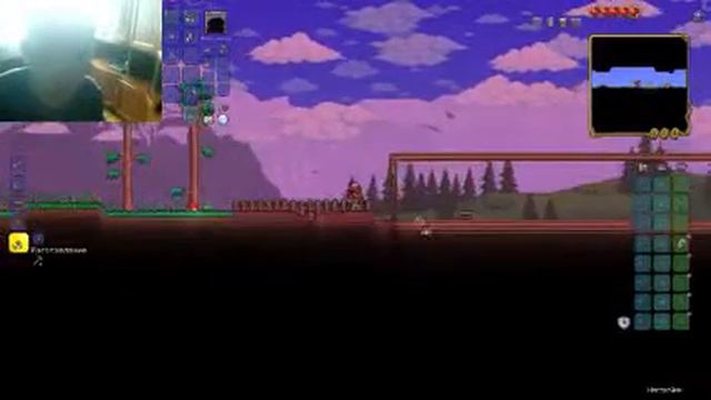 Terraria ► СТРИМ смотреть онлайн