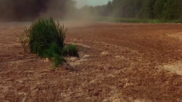 1000004325.mp4 смотреть онлайн