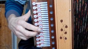 Проезжала конница по степи широкой...(как играть на гармони)