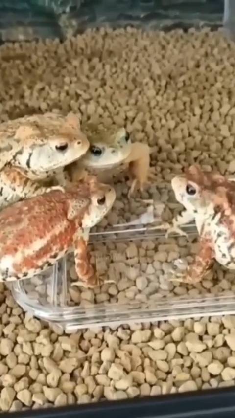 он чё офигел