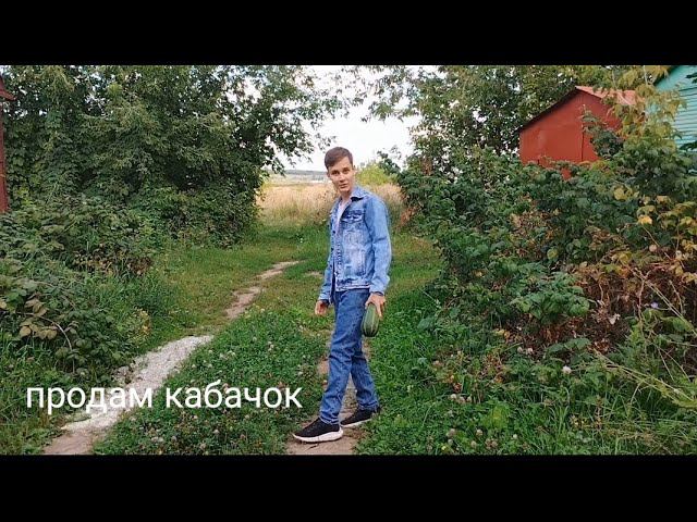 продаю кабачок смотреть онлайн
