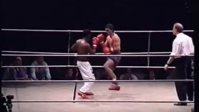 Gilbert The Bull terrier Ballantine Kickboxing смотреть онлайн
