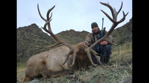 Maral and Ibex hunting in Kazakhstan 2015 - Охота на марала и козерога в Казахстане 2015
