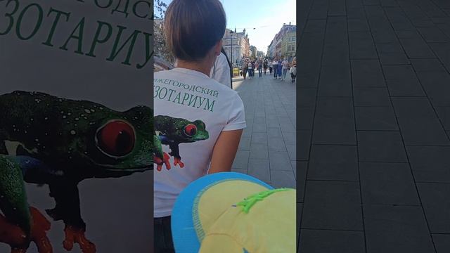 ОГРОМНЫЕ ЗМЕИ НА УЛИЦАХ НИЖНЕНЕГО НОВГОРОДА, НО ГОША НЕ ИСПУГАЛСЯ смотреть онлайн