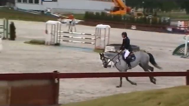 Gelding-04 by Quite Capitol смотреть онлайн