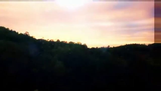 wax walbo waxay lee yihiin смотреть онлайн