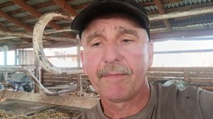 Про герефордов