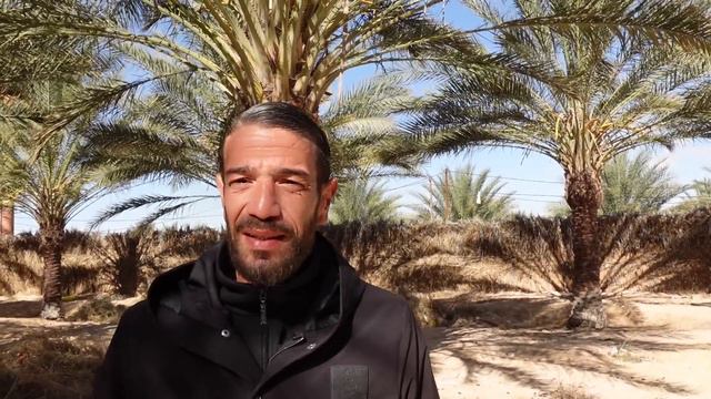JE MANGE LES MEILLEURES DATTES DU MONDE EN ALGÉRIE 🇩🇿🔥 (TOLGA, BISKRA) смотреть онлайн